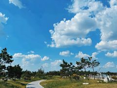 -日照海滨国家森林公园