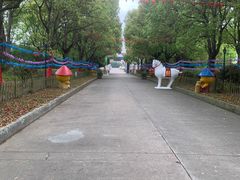 -上海都市菜园