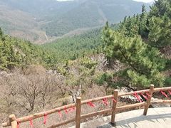 -金龙寺国家森林公园