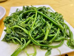 佛手瓜苗-粤北餐馆