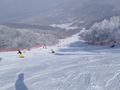 -中旅松花湖滑雪场