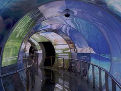 -房山世界地质公园博物馆