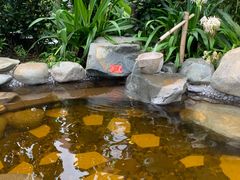 -台山颐和温泉城