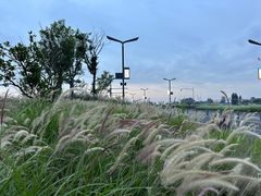 -中国天府农业博览园