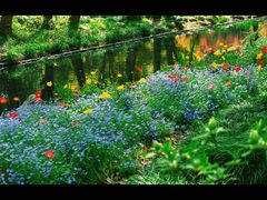 -上海共青森林公园