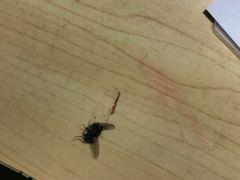 -锦江之星(南京新街口店)