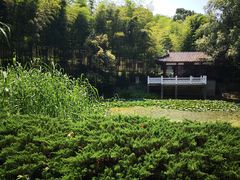 -求雨山文化公园