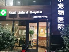 -爱侣·安琦尔宠物医院·中兽医针灸·心内科·狂犬免疫点(宝山区院)