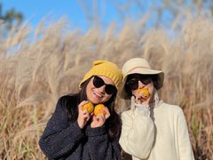 -梁鸿国家湿地公园