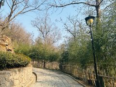 -竹子庵公园