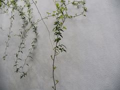 -南京民俗博物馆(甘熙故居)