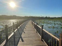 -天津东丽湖风景区