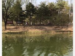 -大兴滨河森林公园