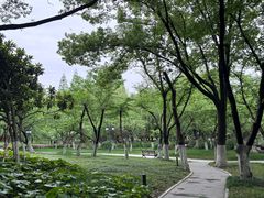 -范蠡湖公园