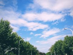 -东南大学(九龙湖校区)