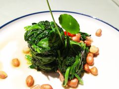 凉拌田园菠菜-驿舍·民國老营房院子私房菜(科学会堂店)