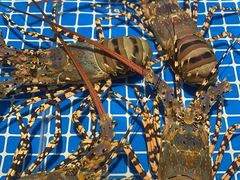 -三亚火车头万人海鲜广场