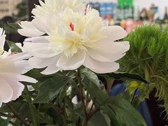 -花满楼(启秀路店)