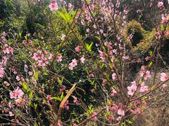 -天台山赤城山景区