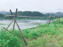 -莲湖山庄