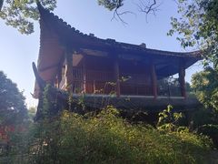 -潜山国家森林公园