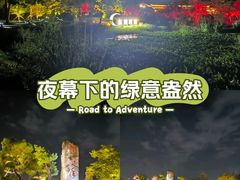 -东湖落雁景区
