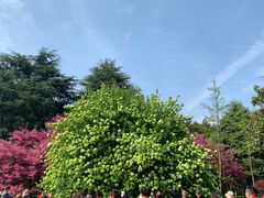 -韶山毛泽东同志故居