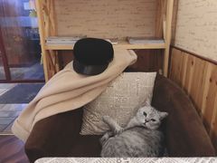 -隅cafe(傅厚岗店)