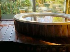 -春晖园度假酒店温泉