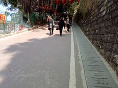 -金鸡山公园