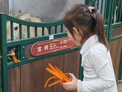 -杭州少年儿童公园