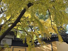 -无锡惠山寺