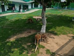 -西霞口神雕山野生动物世界