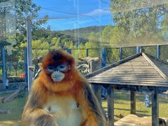 -大连森林动物园