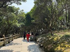 -珞珈山-售票处