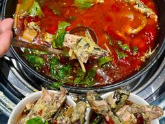 -金三角黄腊丁(奥体店)