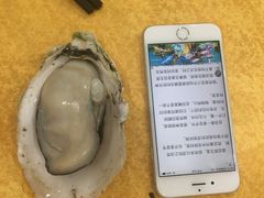 桑拿蚝-蚝专家(北滘店)
