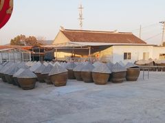 -苏州市吴中区光福窑上花果蜜饯厂