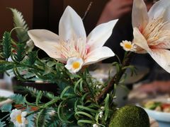 -晶泽丽琅·鱼鲜川菜(川师店)