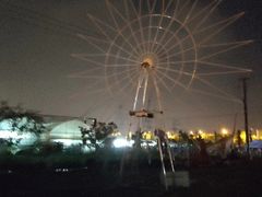 -菊园百果园