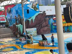 -海合安成都极地海洋公园
