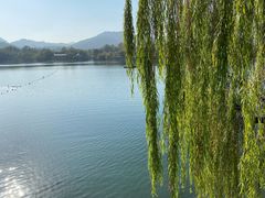 -西湖外事游船(花港观鱼码头)