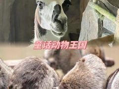 -长鹿旅游休博园