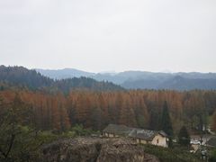-山王坪喀斯特国家生态公园