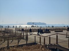 -东疆建设开发纪念公园