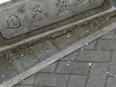 -北京国子监胡同