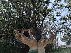 -独树成林