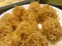 -丁老爷子苏香圆