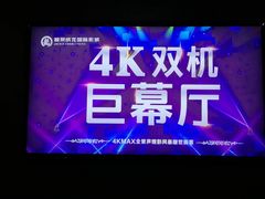 -上影国际影城(普陀绿地缤纷城店)