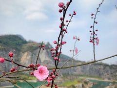 -铜锣山矿山公园